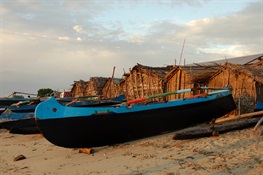 New Global Platform Connects Small-scale Fishers to Improve Sustainability, Livelihoods